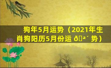 狗年5月运势（2021年生肖狗阳历5月份运 🪴 势）